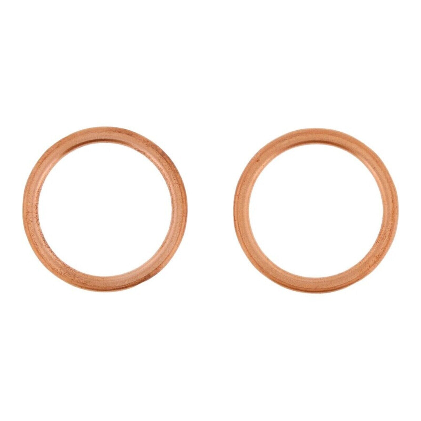 Exhaust Gasket Kit 823199